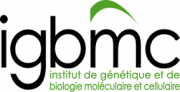 IBMC - CNRS/UNISTRA