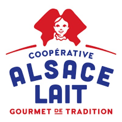 Chef de projets SI
