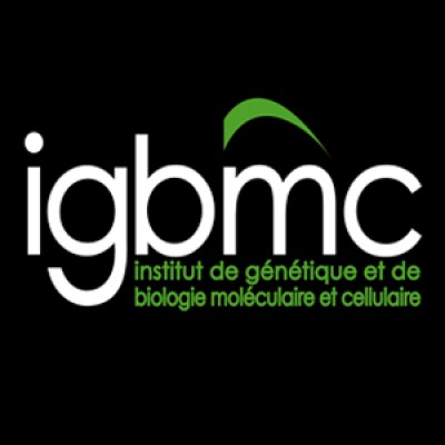 IGBMC