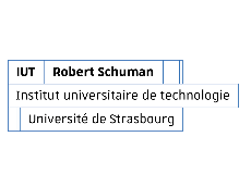 Institut universitaire de technologie Robert Schuman