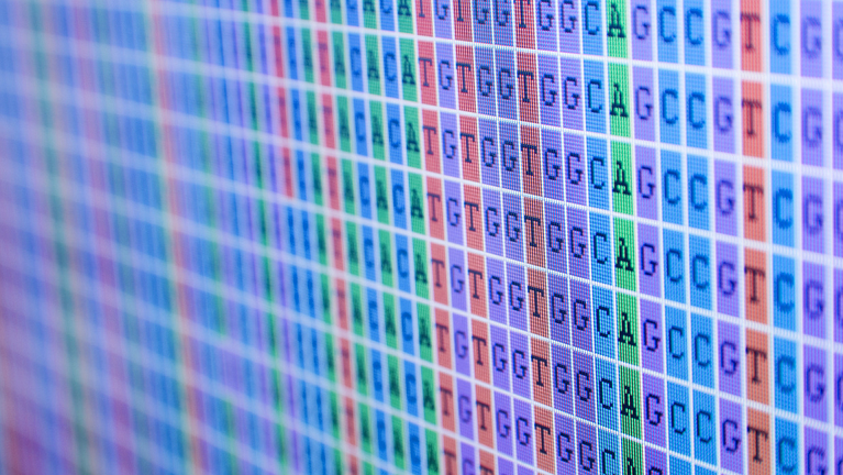 Bioinformatique / Bioinformatic / Computational Biology
