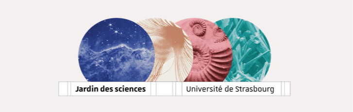 Les activités fleurissent pour les vacances !