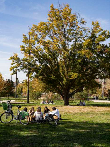 Rejoignez le groupe Développement durable et responsabilité sociétale   