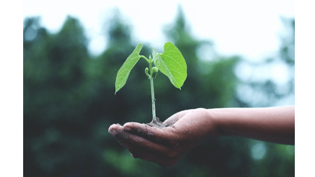 Se projeter professionnellement dans un contexte de transition sociétale