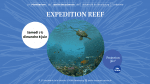 Plongez dans l’océan avec le film Expedition Reef