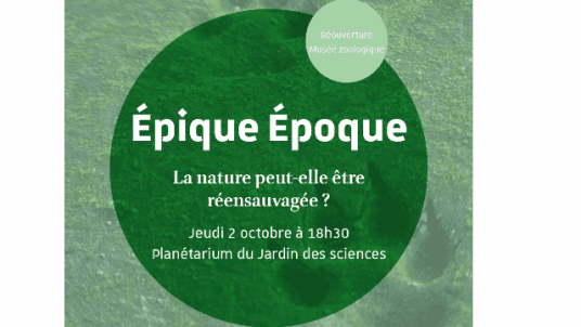  Épique époque | La nature peut-elle être réensauvagée ? 