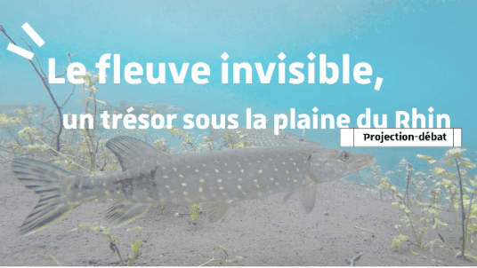 Projection-débat : "Le fleuve insible, un trésor sous la plaine du Rhin" 