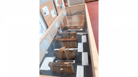 Visite commentée de l'exposition "Récits d'expéditions en Sciences de la Terre"