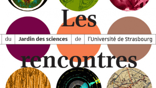 Conf' du lundi | Iconographie des anges musiciens dans les décors de plafonds gothiques