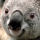 profile photo of a member